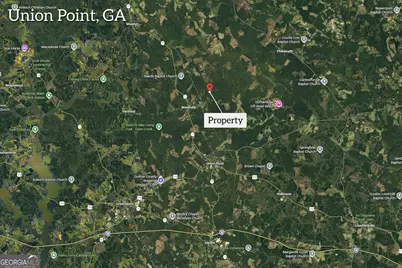 0 Ham Fork Road, Union Point, GA 30669 - Photo 12