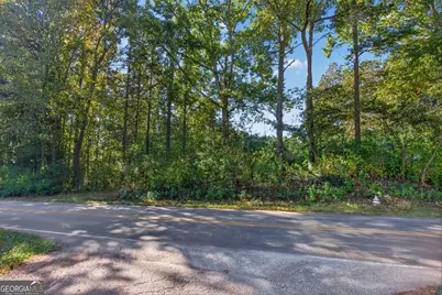 447 Fairview Road #E12, Ball Ground, GA 30107 - Photo 4