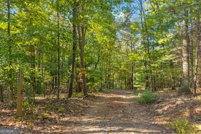 380 White Pine Circle, Demorest, GA 30535 - Photo 76