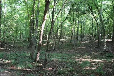 0 Greenesboro Road NW, Union Point, GA 30669 - Photo 10