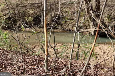 0 Greenesboro Road NW, Union Point, GA 30669 - Photo 24