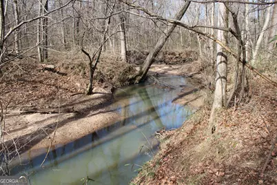 0 Greenesboro Road NW, Union Point, GA 30669 - Photo 20