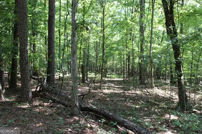 0 Greenesboro Road NW, Union Point, GA 30669 - Photo 30