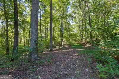 11300 Hutcheson Ferry Road, Chattahoochee Hills, GA 30268 - Photo 6