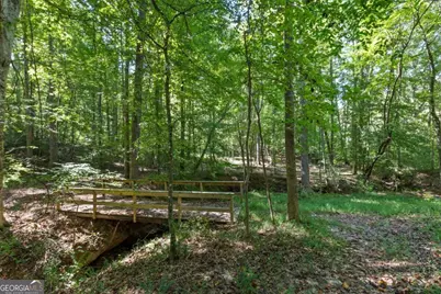 11300 Hutcheson Ferry Road, Chattahoochee Hills, GA 30268 - Photo 2