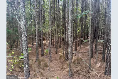 1284 Highway 18 W, Barnesville, GA 30204 - Photo 54