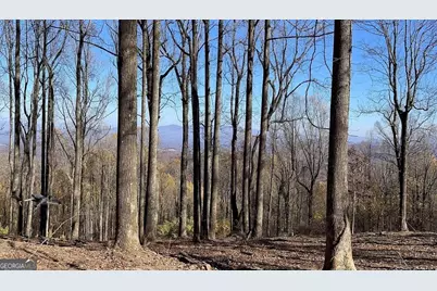 0 Andes Ridge, Jasper, GA 30143 - Photo 2