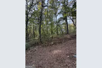 321 W Miles Road, Carrollton, GA 30116 - Photo 32