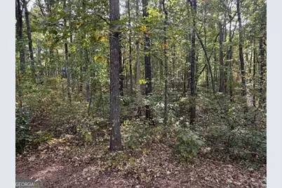 321 W Miles Road, Carrollton, GA 30116 - Photo 36
