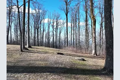 Lot 242 Andes Ridge, Jasper, GA 30143 - Photo 6