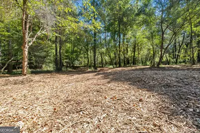 734 Fincher Road, Covington, GA 30016 - Photo 64
