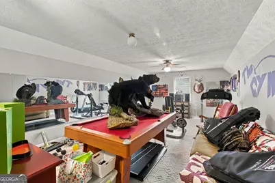 677 M Sanders Road, Buchanan, GA 30113 - Photo 32