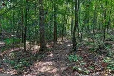 709 Birdie Road, Griffin, GA 30223 - Photo 6