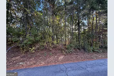 0 Waterview Drive, Lagrange, GA 30240 - Photo 4