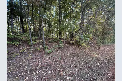 0 Waterview Drive, Lagrange, GA 30240 - Photo 2