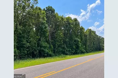 0 N Friendship Church Rd, Bartow, GA 30413 - Photo 2