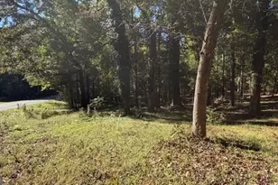 297 Burg Rd, Jenkinsburg, GA 30234 - Photo 8