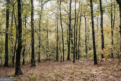 1198 Elberton Road, Lexington, GA 30648 - Photo 54