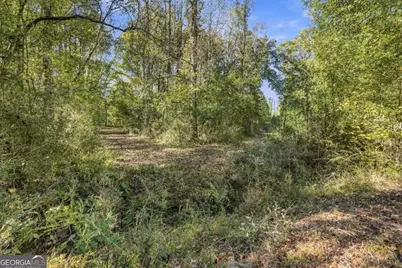 2 Elberton Road, Carlton, GA 30627 - Photo 18