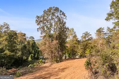 0 Cardinal Lane, Toccoa, GA 30577 - Photo 20