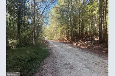 0 Jabez Poyner Road, Carlton, GA 30627 - Photo 66