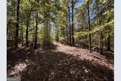 0 Jabez Poyner Road, Carlton, GA 30627 - Photo 24