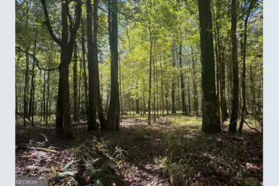 0 Jabez Poyner Road, Carlton, GA 30627 - Photo 34