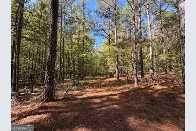0 Jabez Poyner Road, Carlton, GA 30627 - Photo 40