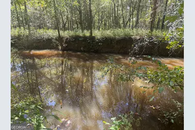 0 Jabez Poyner Road, Carlton, GA 30627 - Photo 52