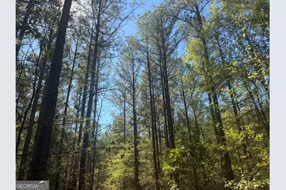 0 Jabez Poyner Road, Carlton, GA 30627 - Photo 26