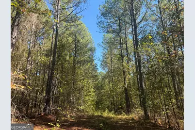 0 Jabez Poyner Road, Carlton, GA 30627 - Photo 18