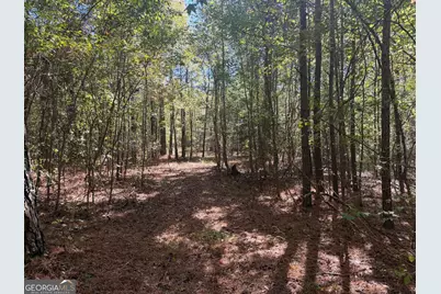 0 Jabez Poyner Road, Carlton, GA 30627 - Photo 74