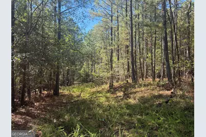 0 Jabez Poyner Road, Carlton, GA 30627 - Photo 14