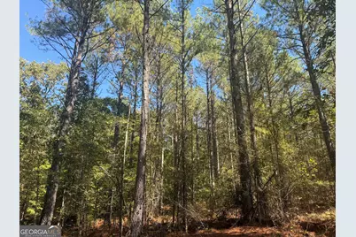 0 Jabez Poyner Road, Carlton, GA 30627 - Photo 28