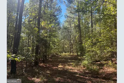 0 Jabez Poyner Road, Carlton, GA 30627 - Photo 16