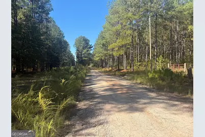 0 Jabez Poyner Road, Carlton, GA 30627 - Photo 6