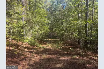 0 Jabez Poyner Road, Carlton, GA 30627 - Photo 20
