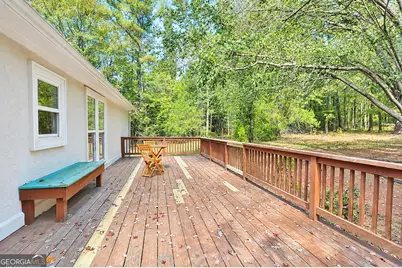 41 Peachtree Lake Drive, Sharpsburg, GA 30277 - Photo 32