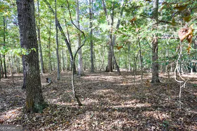 27 Acres New Haven Church Road, Danielsville, GA 30633 - Photo 36