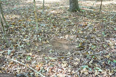 27 Acres New Haven Church Road, Danielsville, GA 30633 - Photo 14
