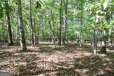 27 Acres New Haven Church Road, Danielsville, GA 30633 - Photo 24