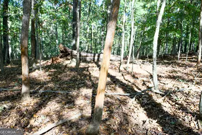 27 Acres New Haven Church Road, Danielsville, GA 30633 - Photo 52