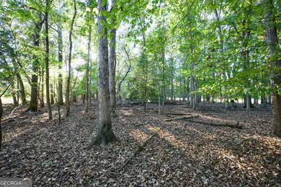 27 Acres New Haven Church Road, Danielsville, GA 30633 - Photo 10
