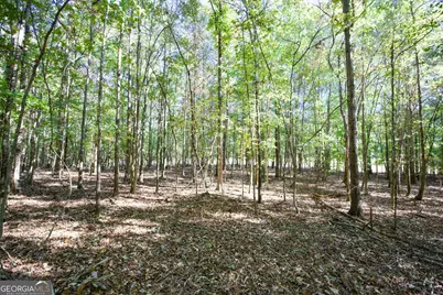 27 Acres New Haven Church Road, Danielsville, GA 30633 - Photo 8