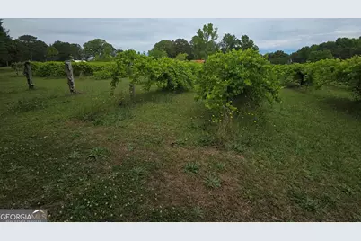 395 Milner Road, Zebulon, GA 30295 - Photo 60
