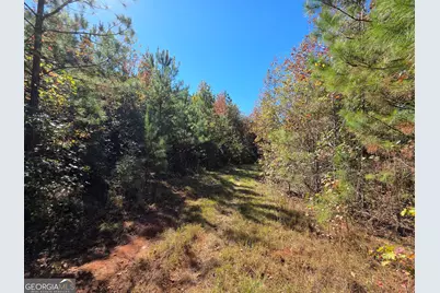 395 Milner Road, Zebulon, GA 30295 - Photo 78