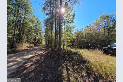 395 Milner Road, Zebulon, GA 30295 - Photo 76
