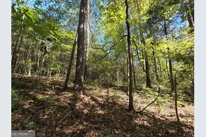 395 Milner Road, Zebulon, GA 30295 - Photo 96