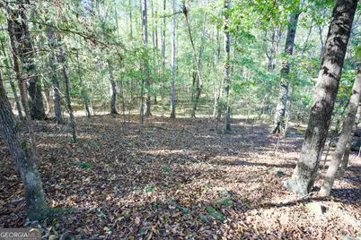 39 Acres New Haven Church Road, Danielsville, GA 30633 - Photo 38