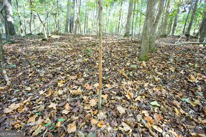 39 Acres New Haven Church Road, Danielsville, GA 30633 - Photo 58